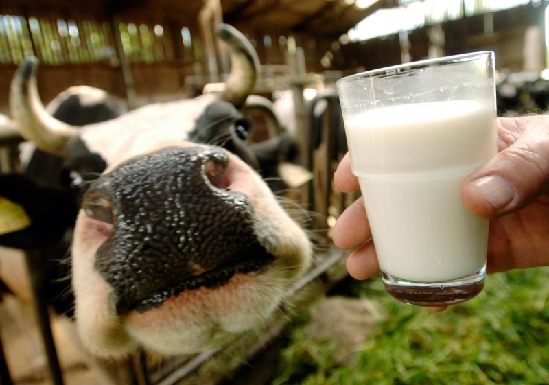 Натуральное молоко от коровы