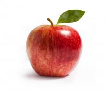 яблоко из семян